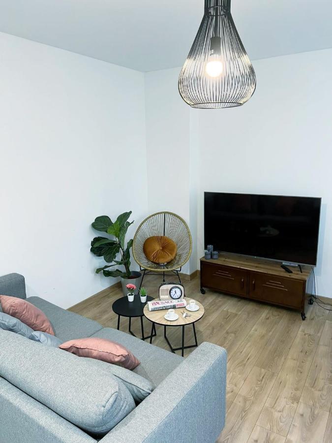 Le Convivial, Appartement Centre Ville Mulhouse Luaran gambar